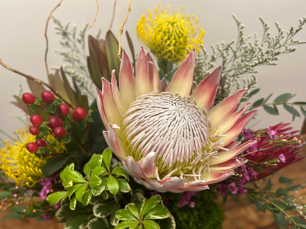 Protea Farm- Protea Arrangements