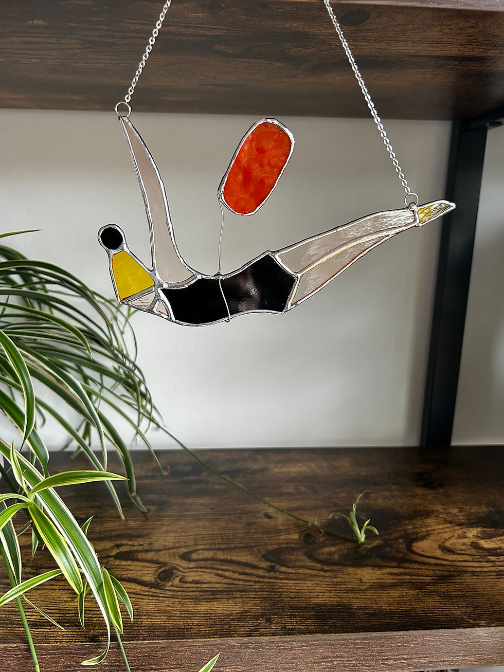 Thumbnail: Wild Swimmer with tow float