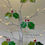 Thumbnail: White lit tree containing two pieces of stained glass Christmas Holly