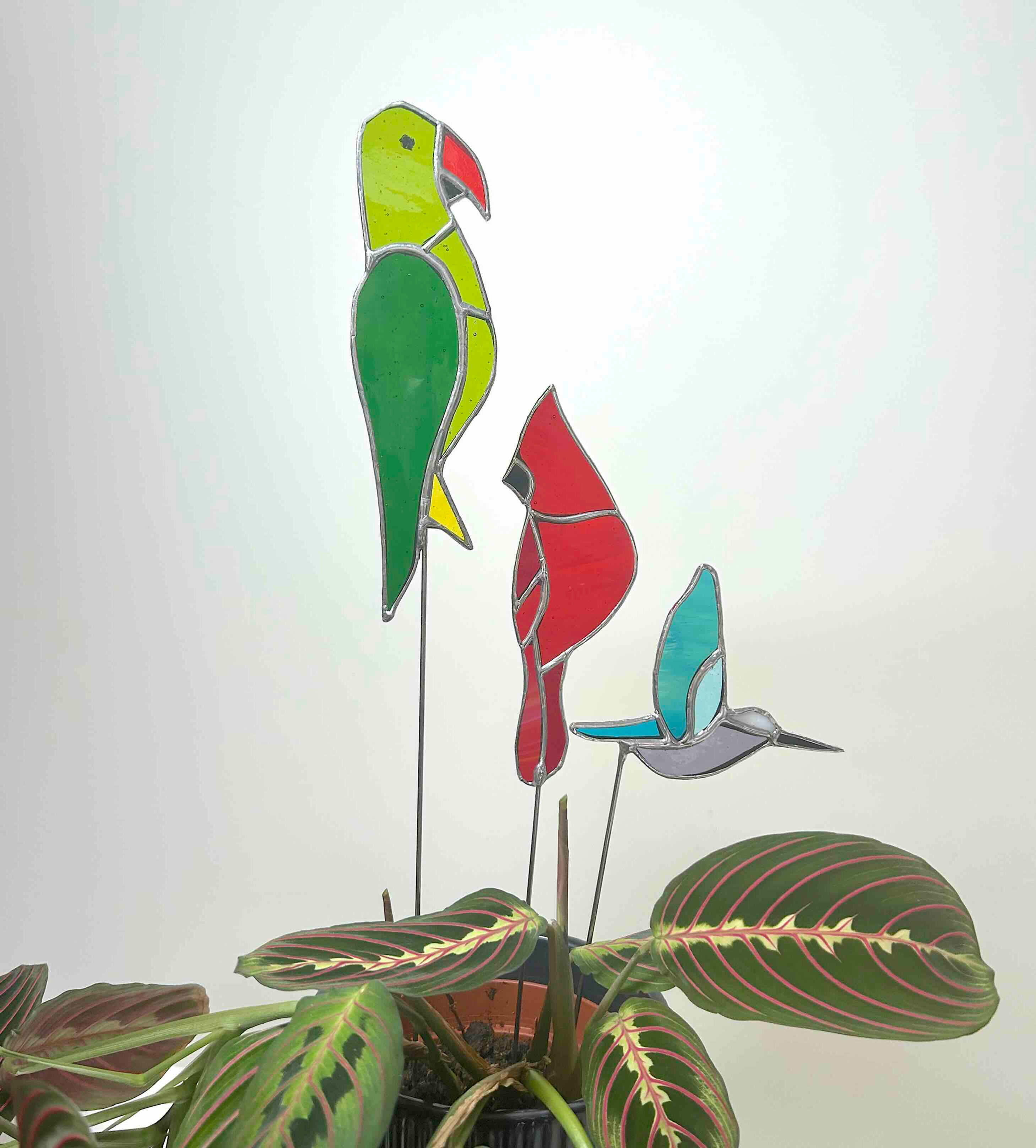Colourful bird for planter