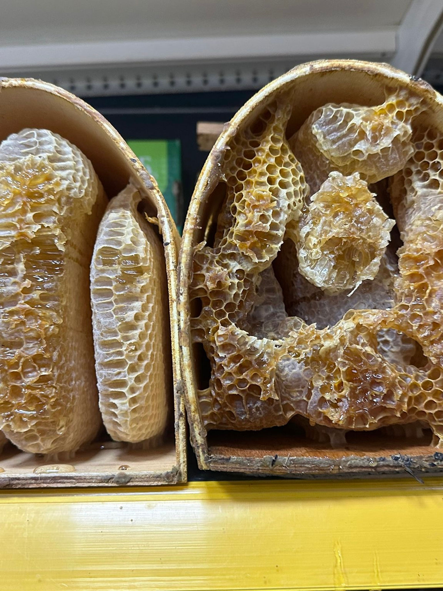 Karakovan Tünel Bal (Erzurum) 1kg