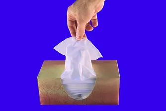 flu shots what we all should know prior to getting one dynamic