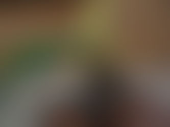 蘭は種類がたくさんあってわからない