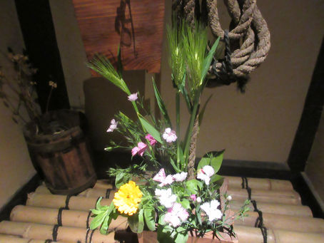 根を張ることの方が大切ですね。