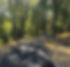 Lynnville Trail_edited.jpg