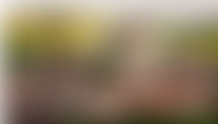 Cuma di Negara Ini, Mau Bercerai Akan di Penjara Bersama