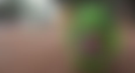 Robot Hijau Android Ternyata Punya Nama