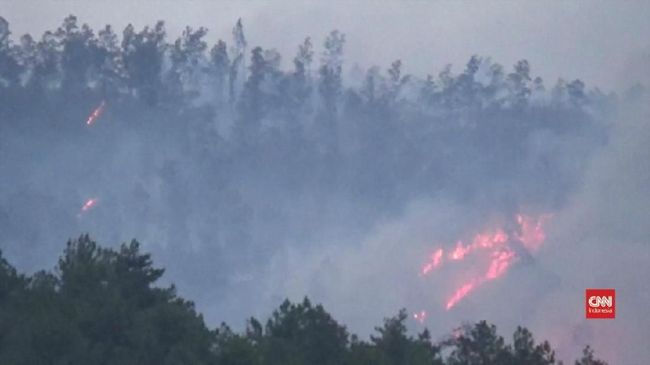 Kebakaran di Gunung Raung, 7 WN Singapura Terjebak Semalaman