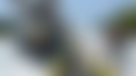 Jasa Marga Tetap Kebut Proyek Jalan Tol Meski Dolar AS 'Ngamuk'