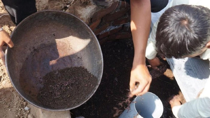 Bill Gates Garap Toilet 'Berteknologi' Cacing