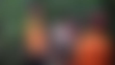 7 Warga Medan Tersesat Saat Cari Rute Wisata Pakai Google Maps di Hutan