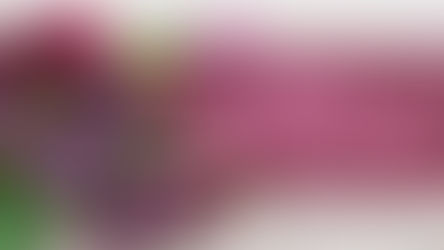 Baru Sepekan Dilantik, Bupati OKU Kuryana Aziz Meninggal Dunia