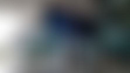 85 WN China Tiba di Indonesia Pakai Pesawat Charter