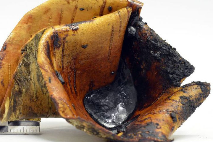 Inilah Lem Pertama di Dunia, Penciptanya Neanderthal