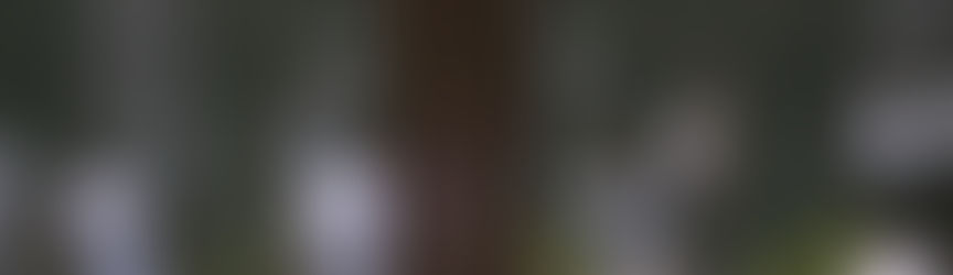 Saham Jepang Jatuh Di Tengah Rendahnya Dukungan untuk Perdana Menteri Baru