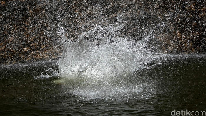 Pria di Sumut Tewas Terjatuh ke Sumur, Diduga Mabuk Minum Tuak