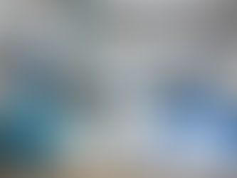 年に一度の大掃除