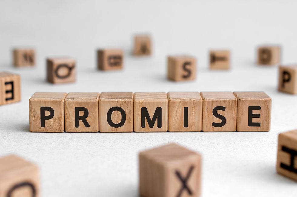 Promise to my Readers