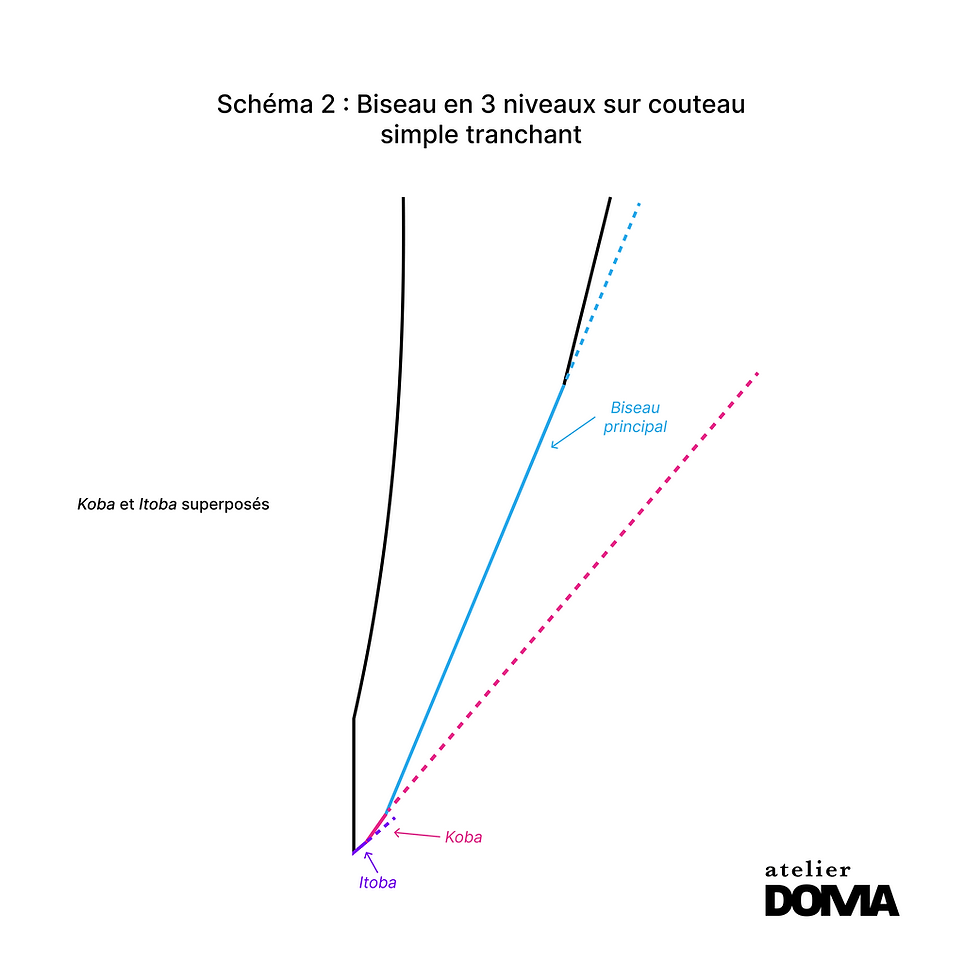 Biseau en 3 niveau sur couteau simple tranchant