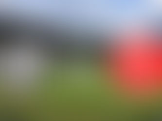 Campeonato Mineiro Módulo II: confira como estão os times juiz-foranos na competição