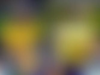 Voleibol brasileiro tem estreia marcada para o final desta semana