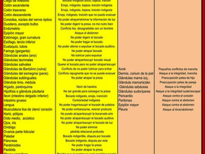 LOS ÓRGANOS, (ALFABÉTICO) CON SU SENTIDO BIOLÓGICO DIAGRAMA