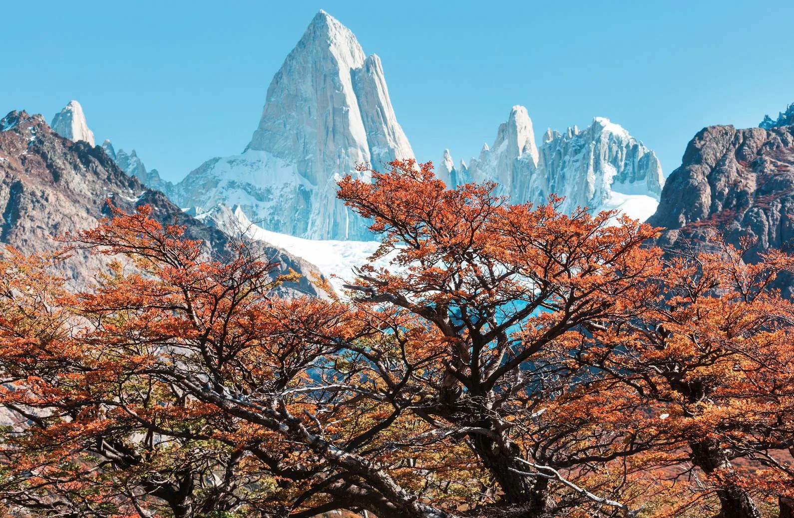 ภูเขา Fitz Roy กับใบไม้เปลี่ยนสี