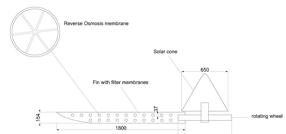 section (1).jpg