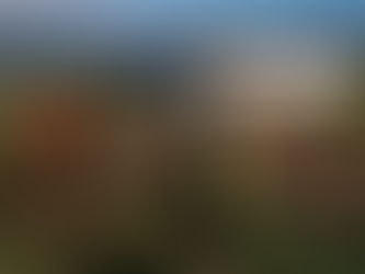 LOS DESEMPLEADOS QUE HAN VISTO EN LAS COSECHAS DEL MUNDO NUEVAS OPORTUNIDADES