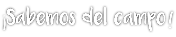 FTYGF_Mesa-de-trabajo-1.png