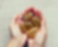 Stones%20of%20Meaning_edited.jpg
