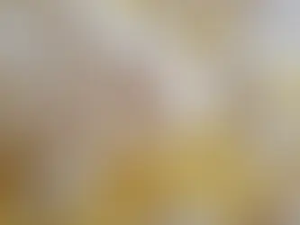 Orange and Almond Cake