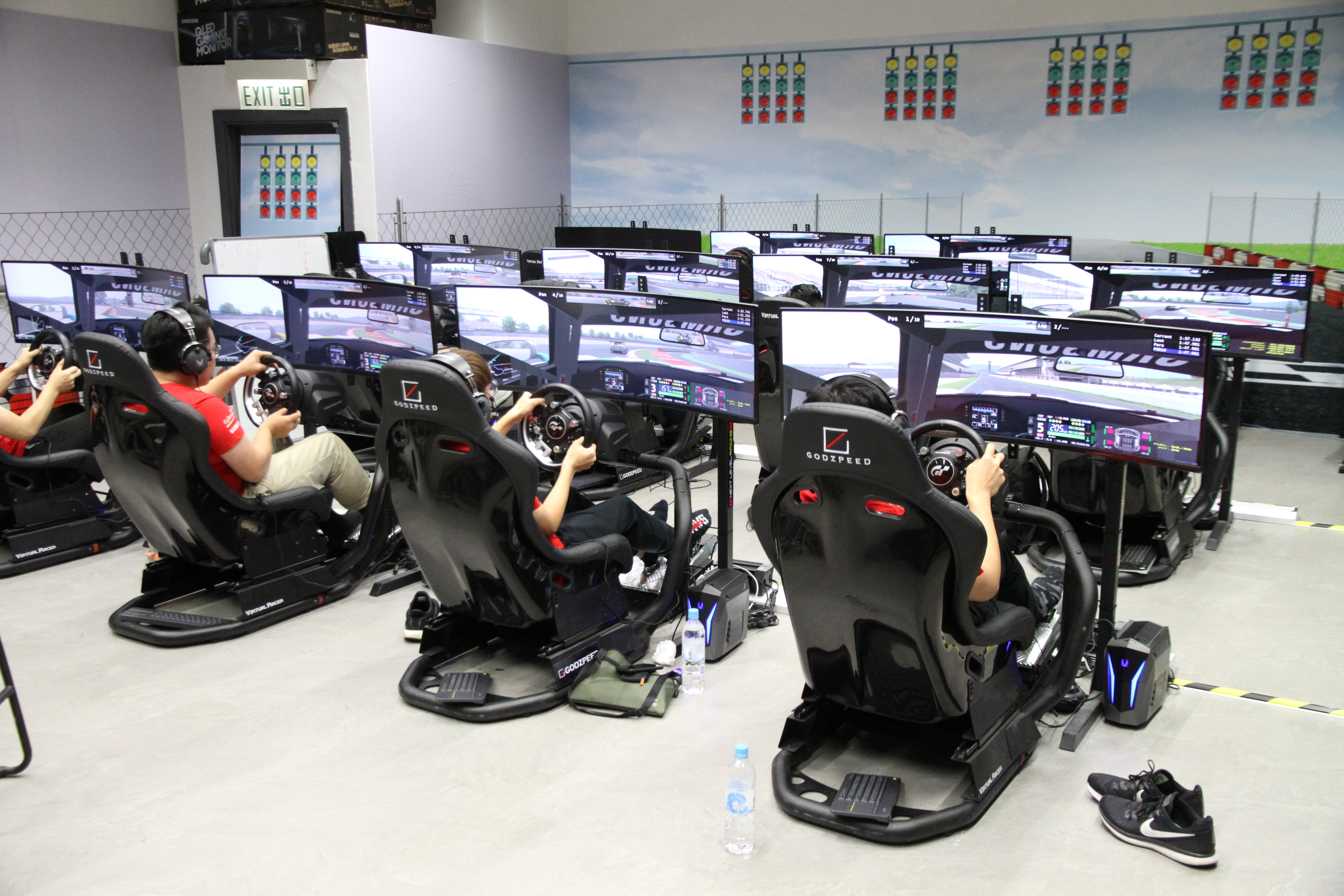 Professional Driver Training & Coaching Program