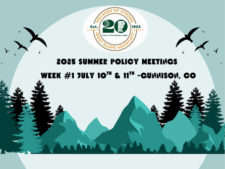 2025 Summer Policy Committee Meetings: Presentations & Recordings