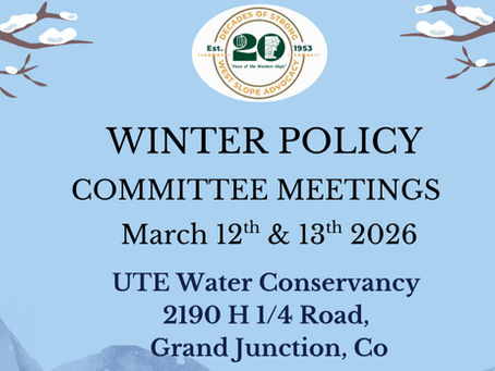 Copy of 2026 Winter Policy Committee Meetings Presentations