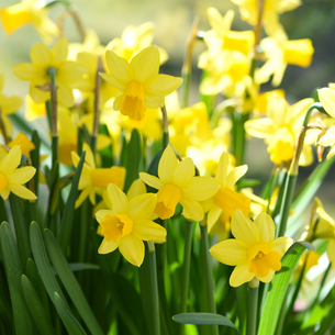 Ostern 2022