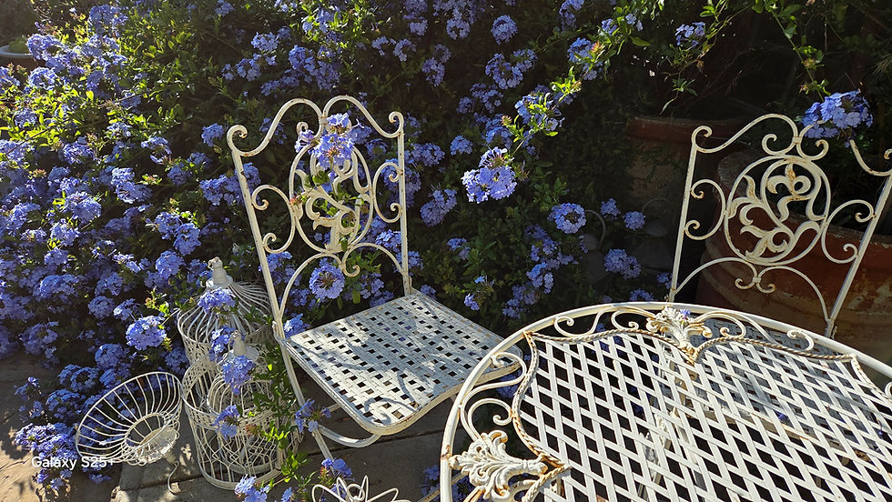 White wrought iron bistro set amidst blue flowers at Rancho del Cielo in Malibu, California