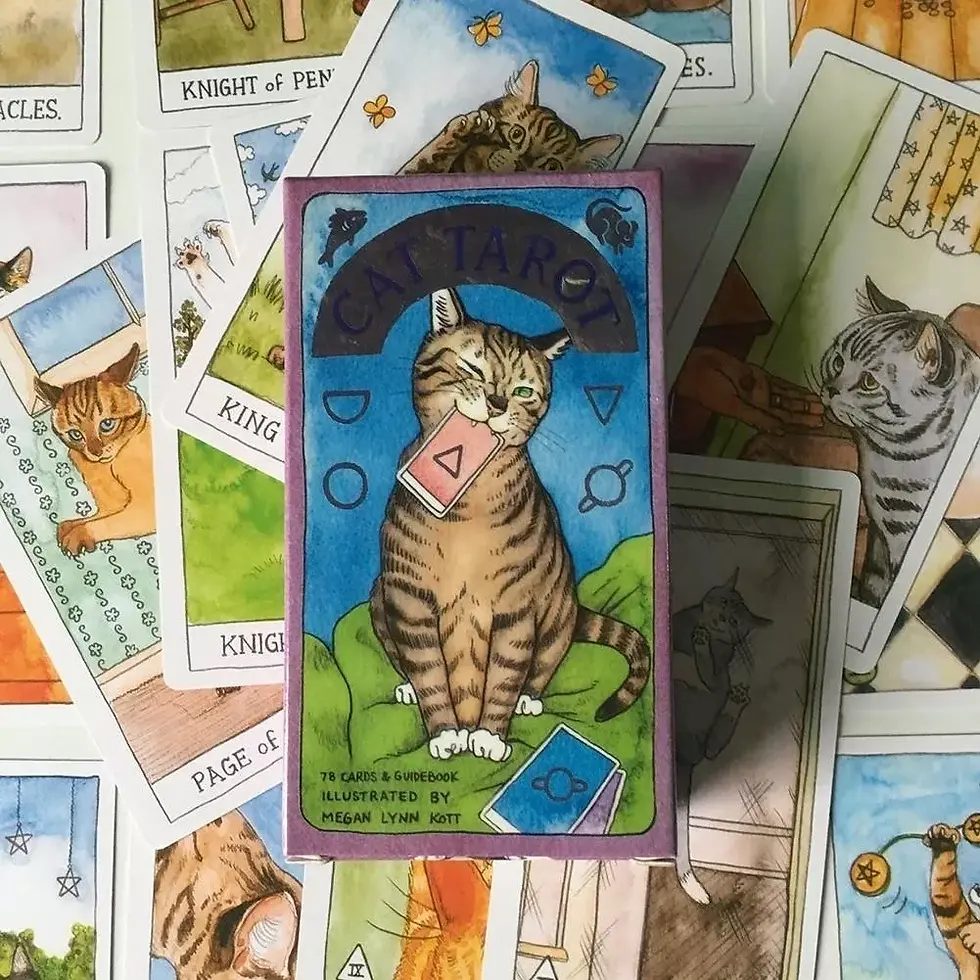Cat Tarot Só As Cartas Não Livro