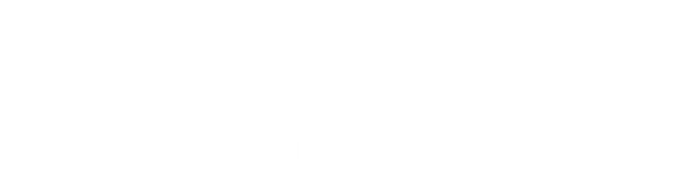 Roller Disco Logo.png