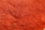 ree