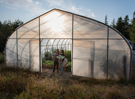 New Beginnings @ Vertgen Farms/Island Flower Farm