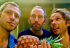 Guru Ananas