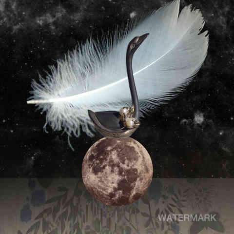 swan spirit, swan, bird, moon, outer space, butterflies, moon, cosmic