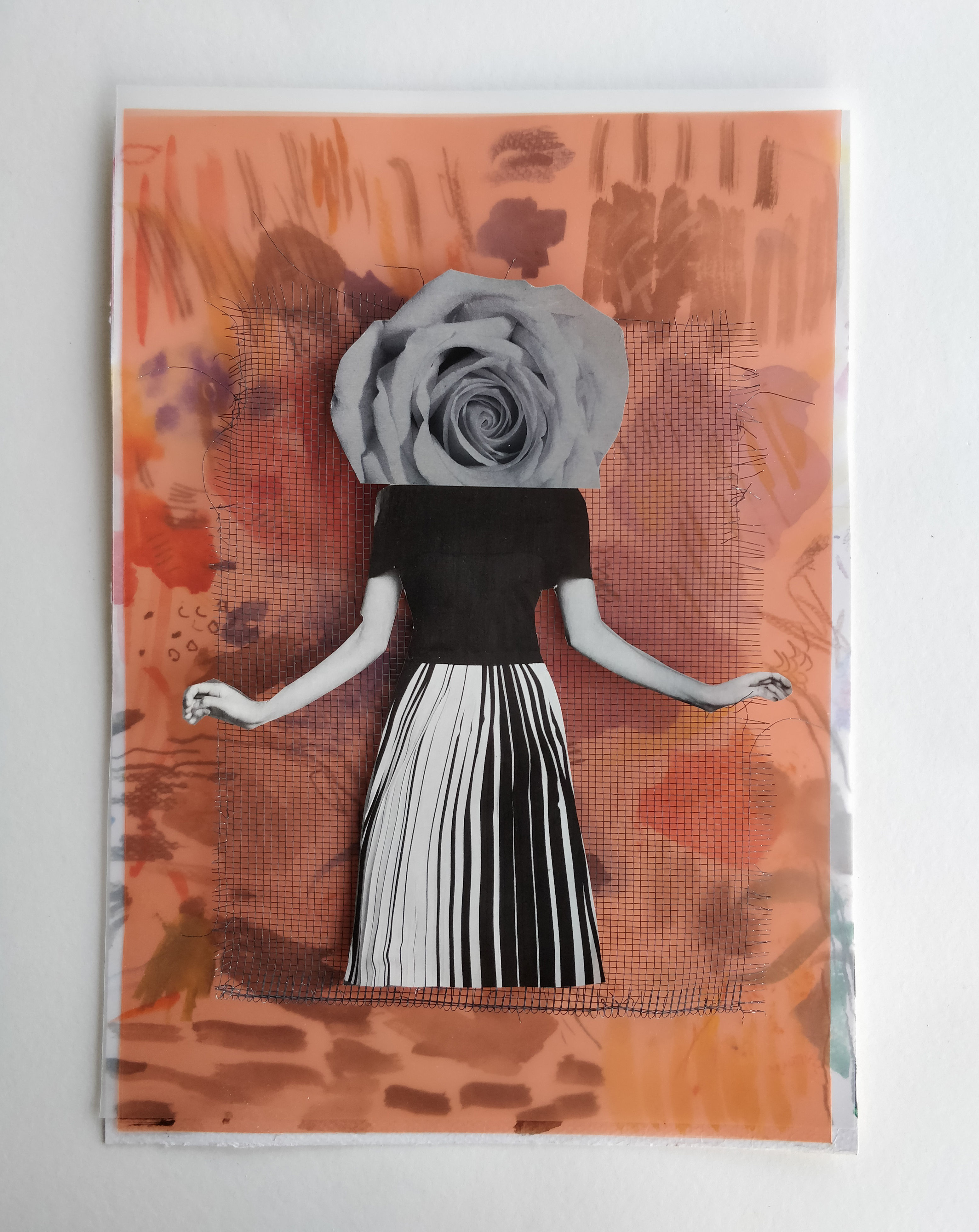 Flower Head on Orange