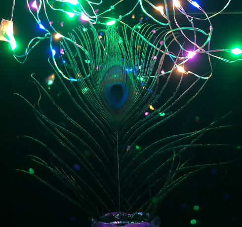 IMG-9765_edited.jpg