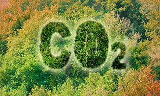 Design sem nome (1).jpg