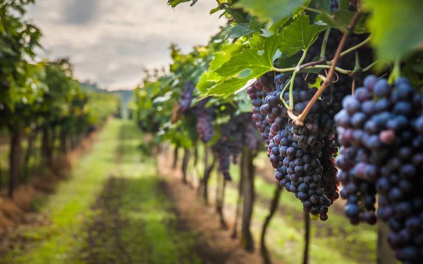 57859_w840h525_1536766542shutterstock-320746712.webp