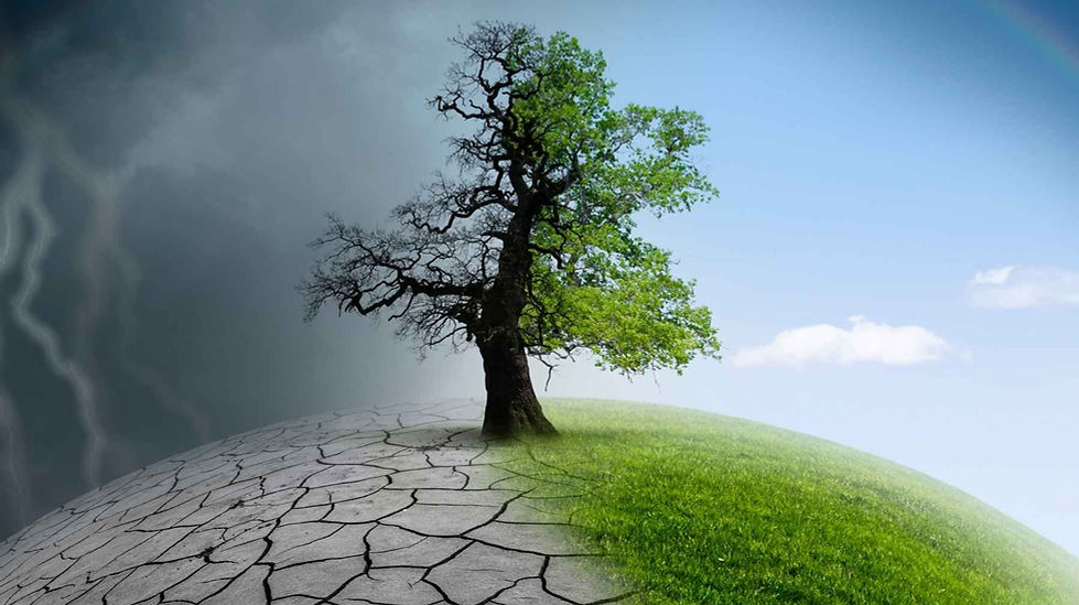As mudanças climáticas mudaram o jogo