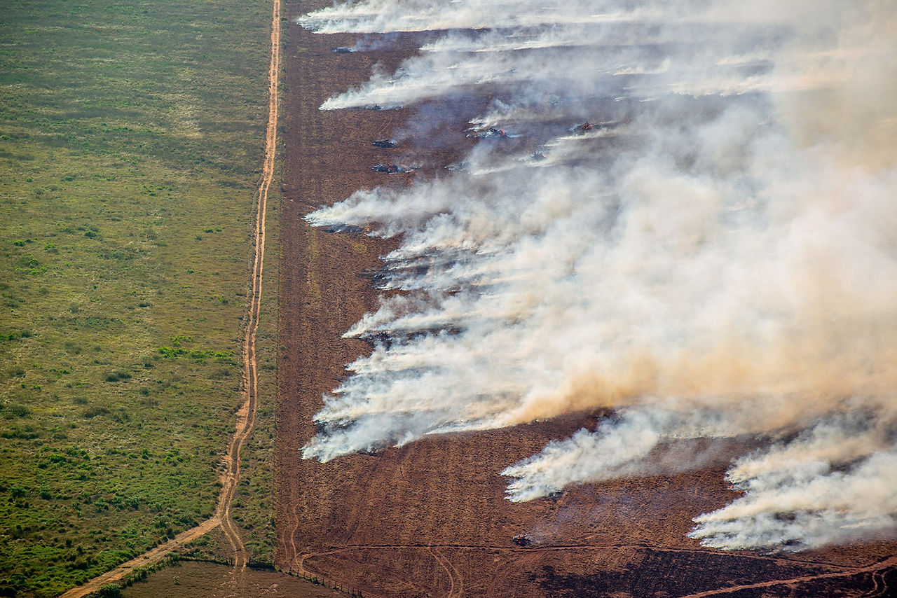 Christian Braga/Greenpeace