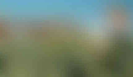 Novo Projeto Turístico Morro do Careca